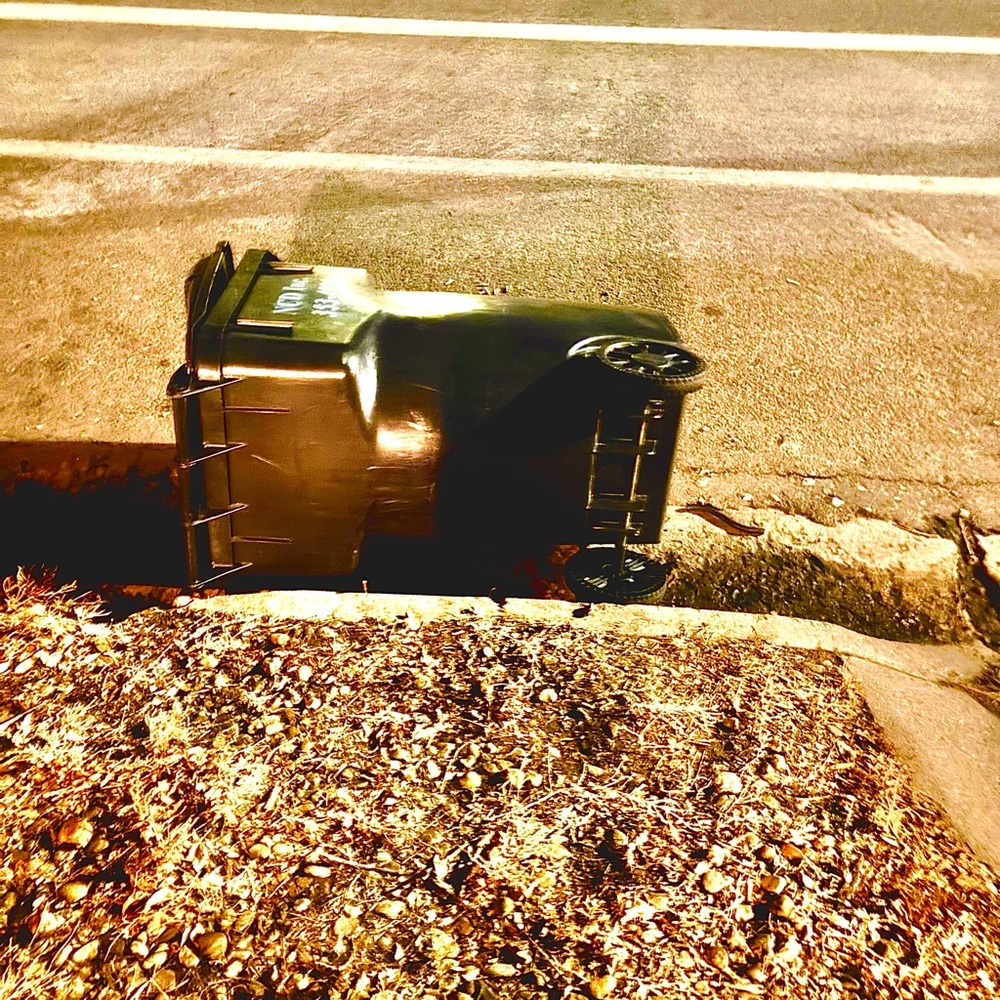 Black Outdoor Trash Bin resembling my bootie
